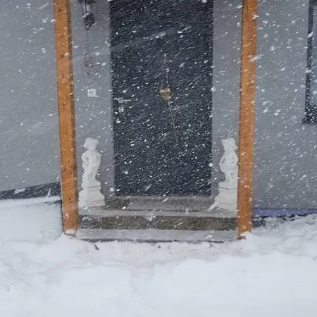 Apartment Ferienwohnung Brunner Pettneu am Arlberg